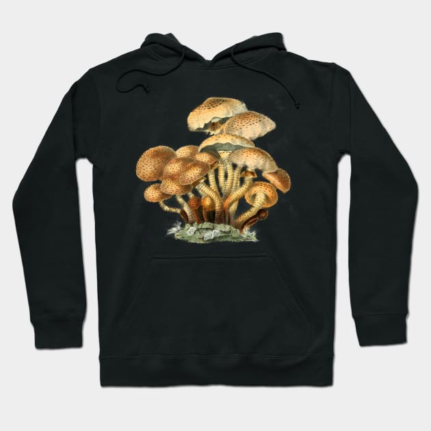 Shaggy Scaly Cap Mushroom Vintage Mycology Painting Hoodie by MoPaws